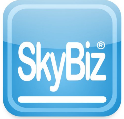 SkyBiz Logo.jpg
